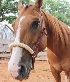 Western Heavy Duty Headstall Cowboy Rawhide Braided Noseband -Western Harness Shop image 1090