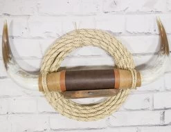 Large Southwest Decor Polished Steer Bull Horns Longhorn