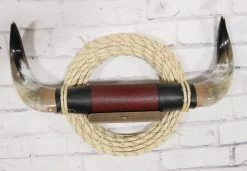 Large Display Toro Steer Bull Horns Western Decor