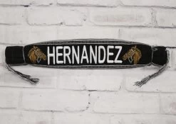 Hernandez Charro Sarape Montura Charra