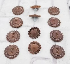 Brown Juego De Chapetones Cafe Monturas Charras