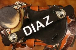 Diaz Cafe Brown Sarape Charro Saddle -Western Harness Shop image 896