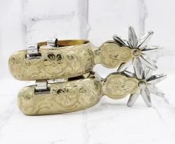 Gold Tone Stainless Steel Spurs Espuelas Tono Dorado Acero Inoxidable II
